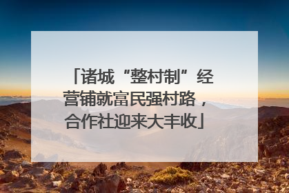 诸城“整村制”经营铺就富民强村路，合作社迎来大丰收