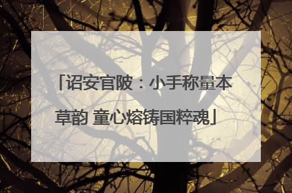 诏安官陂：小手称量本草韵 童心熔铸国粹魂