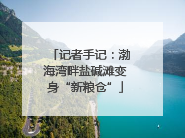记者手记：渤海湾畔盐碱滩变身“新粮仓”