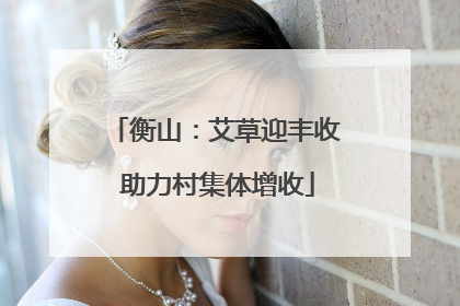 衡山：艾草迎丰收 助力村集体增收