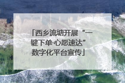 西乡流塘开展“一键下单·心愿速达”数字化平台宣传