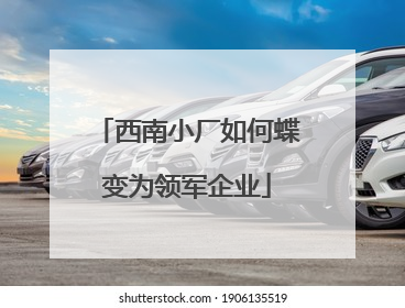 西南小厂如何蝶变为领军企业