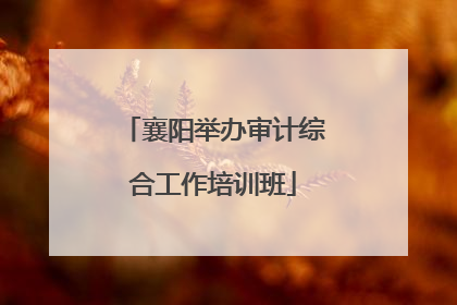 襄阳举办审计综合工作培训班