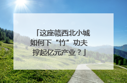 这座赣西北小城如何下“竹”功夫撑起亿元产业？
