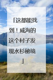 这都能找到！威海的这个村子发现水杉秘境