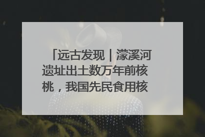 远古发现｜濛溪河遗址出土数万年前核桃，我国先民食用核桃历史大幅提前