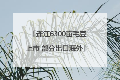 连江6300亩毛豆上市 部分出口海外