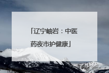 辽宁岫岩：中医药夜市护健康