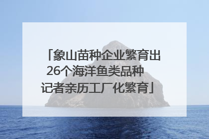 象山苗种企业繁育出26个海洋鱼类品种 记者亲历工厂化繁育