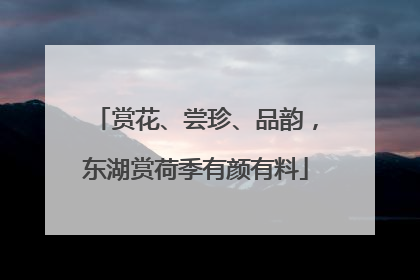 赏花、尝珍、品韵，东湖赏荷季有颜有料