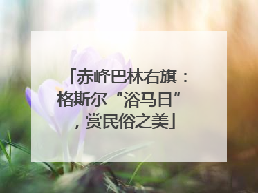 赤峰巴林右旗：格斯尔“浴马日”，赏民俗之美
