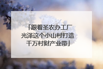 跟着圣农办工厂 光泽这个小山村打造千万村财产业带