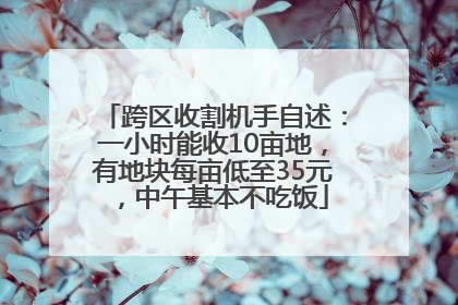 跨区收割机手自述：一小时能收10亩地，有地块每亩低至35元，中午基本不吃饭