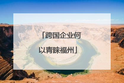 跨国企业何以青睐福州