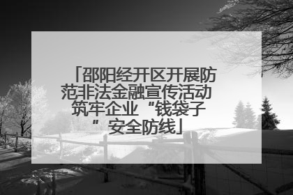 邵阳经开区开展防范非法金融宣传活动 筑牢企业“钱袋子”安全防线