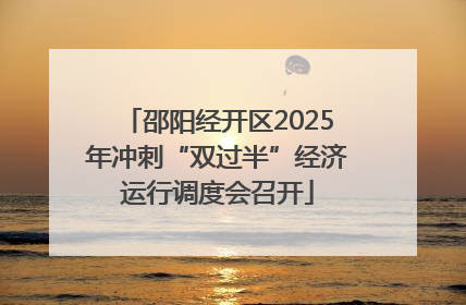 邵阳经开区2025年冲刺“双过半”经济运行调度会召开