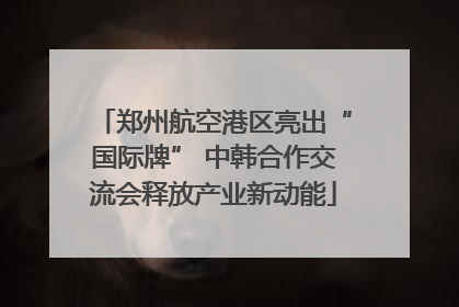郑州航空港区亮出“国际牌” 中韩合作交流会释放产业新动能