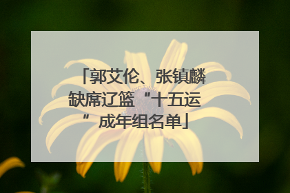 郭艾伦、张镇麟缺席辽篮“十五运”成年组名单