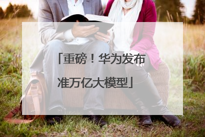 重磅！华为发布准万亿大模型