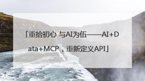 重拾初心 与AI为伍——AI+Data+MCP，重新定义API