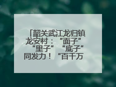 韶关武江龙归镇龙安村：“面子”“里子”“底子”同发力！“百千万工程”激活乡村新动能