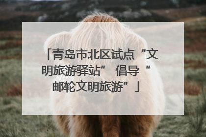 青岛市北区试点“文明旅游驿站” 倡导“邮轮文明旅游”