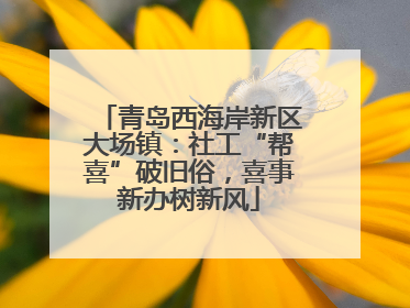 青岛西海岸新区大场镇：社工“帮喜”破旧俗，喜事新办树新风