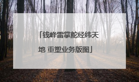 钱峰雷掌舵经纬天地 重塑业务版图