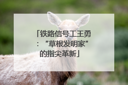 铁路信号工王勇：“草根发明家”的指尖革新