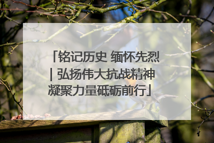 铭记历史 缅怀先烈｜弘扬伟大抗战精神 凝聚力量砥砺前行