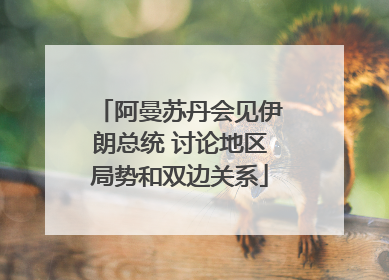 阿曼苏丹会见伊朗总统 讨论地区局势和双边关系
