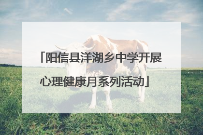 阳信县洋湖乡中学开展心理健康月系列活动