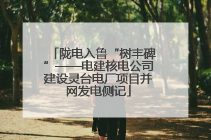 陇电入鲁“树丰碑”——电建核电公司建设灵台电厂项目并网发电侧记