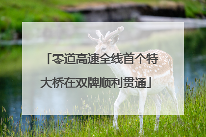 零道高速全线首个特大桥在双牌顺利贯通