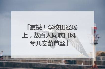 震撼！学校田径场上，数百人同吹口风琴共奏葫芦丝