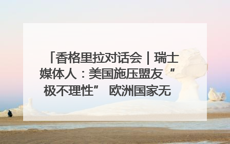香格里拉对话会｜瑞士媒体人：美国施压盟友“极不理性” 欧洲国家无意与中国“脱钩断链”