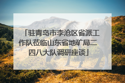驻青岛市李沧区省派工作队莅临山东省地矿局二四八大队调研座谈