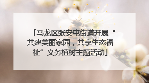 马龙区张安屯街道开展“共建美丽家园，共享生态福祉”义务植树主题活动