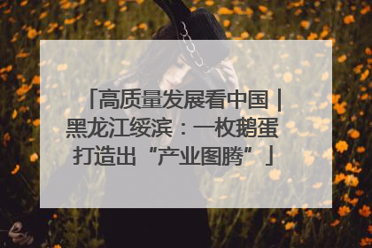 高质量发展看中国｜黑龙江绥滨：一枚鹅蛋打造出“产业图腾”