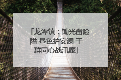 龙潭镇：锄光凿险隘 昼色护安澜 干群同心战汛魔