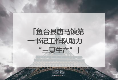 鱼台县唐马镇第一书记工作队助力“三夏生产”