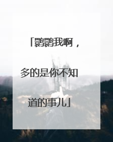 鹮鹮我啊，多的是你不知道的事儿