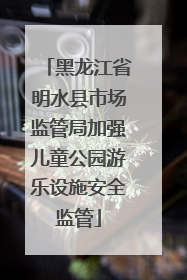 黑龙江省明水县市场监管局加强儿童公园游乐设施安全监管