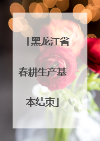 黑龙江省春耕生产基本结束