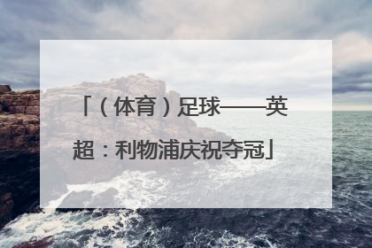（体育）足球——英超：利物浦庆祝夺冠