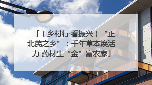 （乡村行·看振兴）“正北芪之乡”：千年草本焕活力 药材生“金”富农家