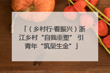 （乡村行·看振兴）浙江乡村“自我重塑” 引青年“筑巢生金”