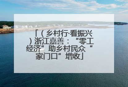 （乡村行·看振兴）浙江嘉善：“零工经济”助乡村民众“家门口”增收