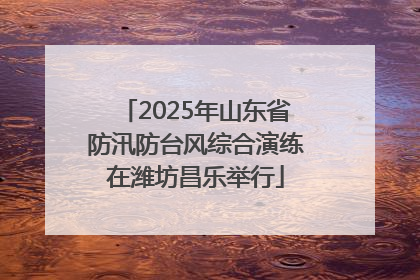 2025年山东省防汛防台风综合演练在潍坊昌乐举行