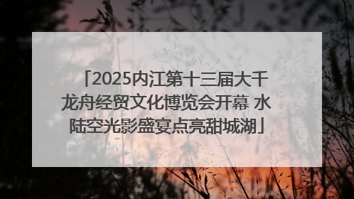2025内江第十三届大千龙舟经贸文化博览会开幕 水陆空光影盛宴点亮甜城湖